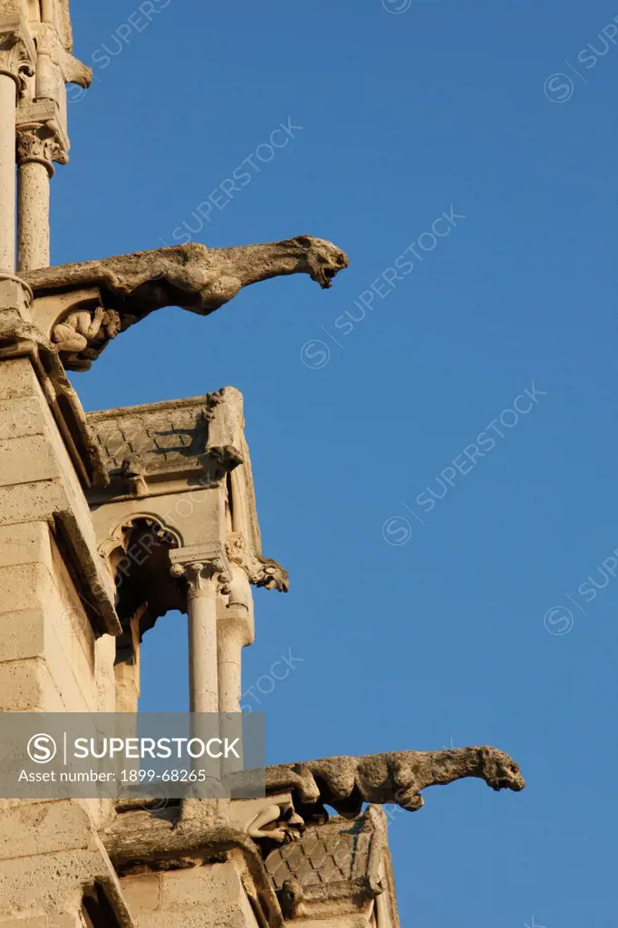 Notre-Dame de Paris cathedral southern façade gargoyles