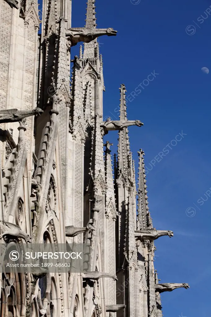 Notre Dame Cathedral. Gargoyles.
