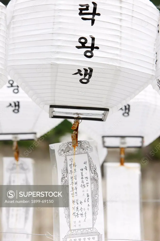 White lanterns honoring the dead