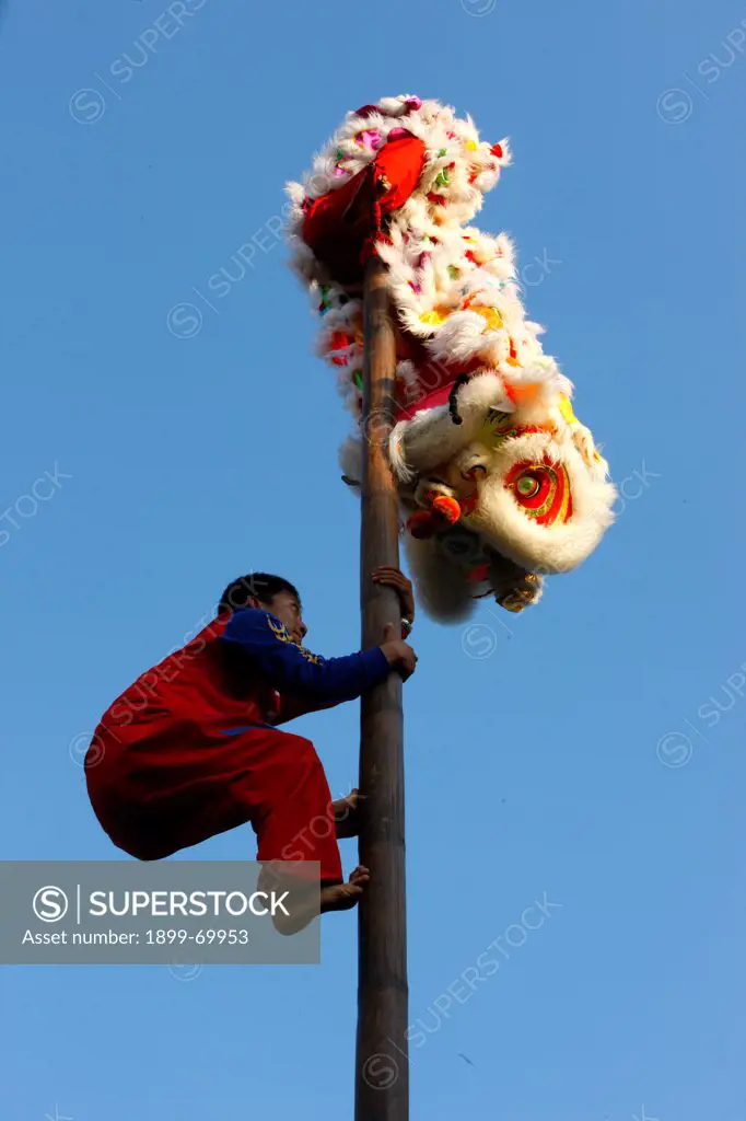 Chinese New Year. Lion dance performers.
