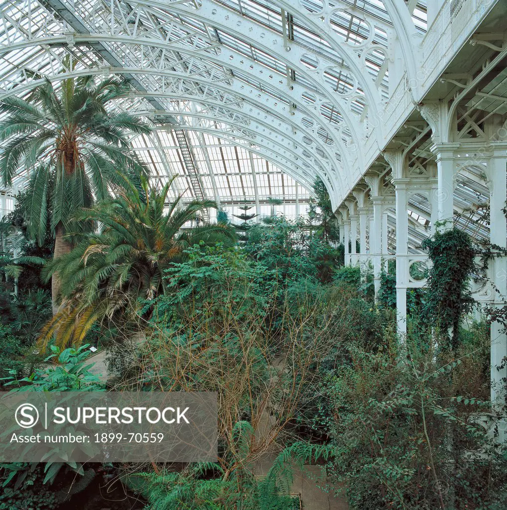 United Kingdom, London, Kew Gardens. Detail. Inner view of the greenhouse. The pants are shielded by a covering made of iron and glass.