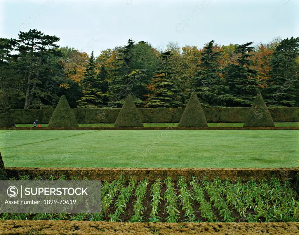 France, Sceaux, Chateau de Sceaux. Detail of the parterre with low hedges and cone-shaped trees.