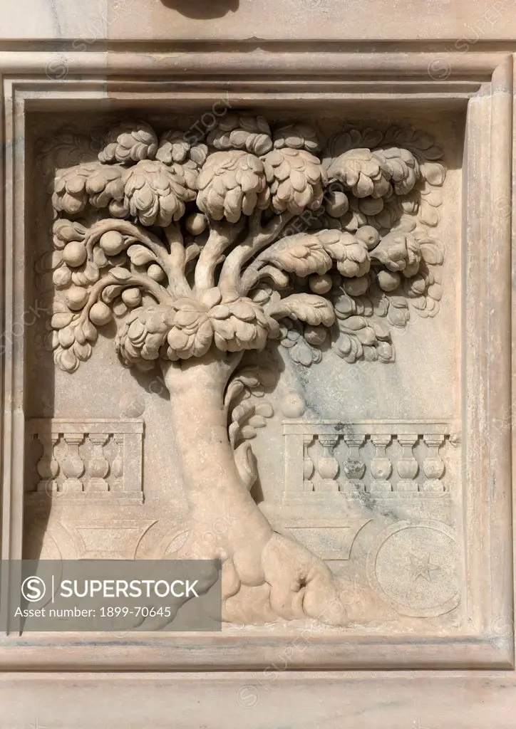 Italy, Lombardy, Milan, Duomo, Facade. Detail. A panel with a tree.