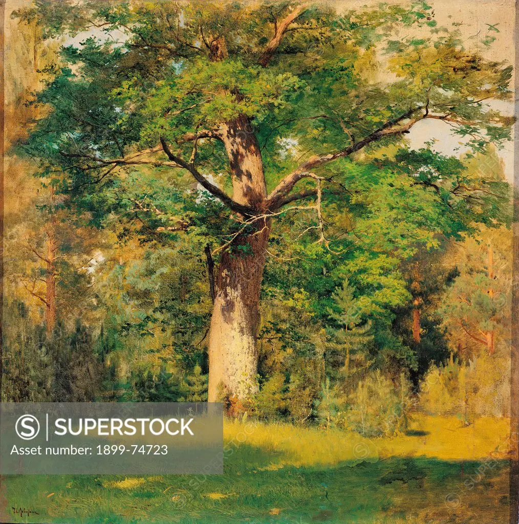The Oak, by Levitan Isaak Il'ic, 19th Century, 1880, oil on canvas, cm 58 x 58