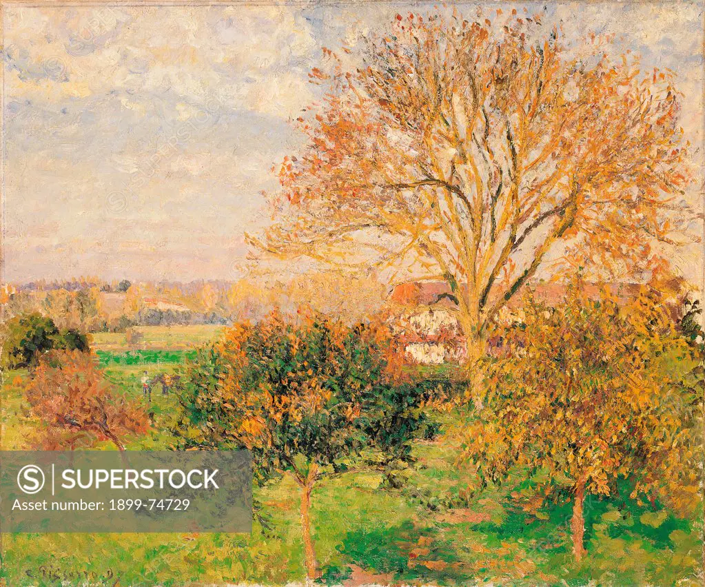 Autumn Morning in Eragny, by Pissarro Camille, 19th Century, 1897, oil on canvas, cm 54 x 65