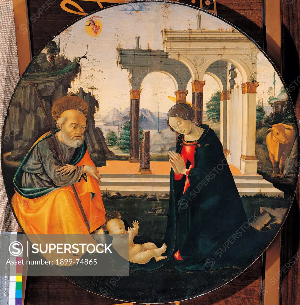 Adoration of the Infant Jesus, by workshop Mainardi Sebastiano,Mainardi Sebastiano, 15th Century, oil on board, cm 82 x 82