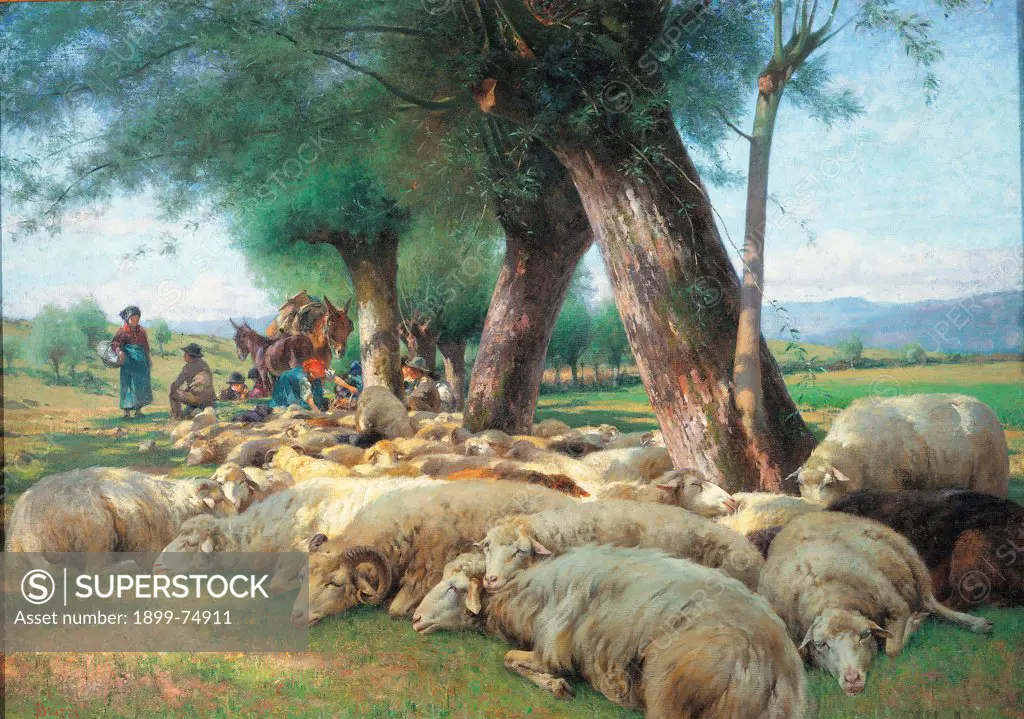 Sheep, by Bruzzi Stefano, 19th Century, 1870-1880, oil on canvas, cm 102 x 143