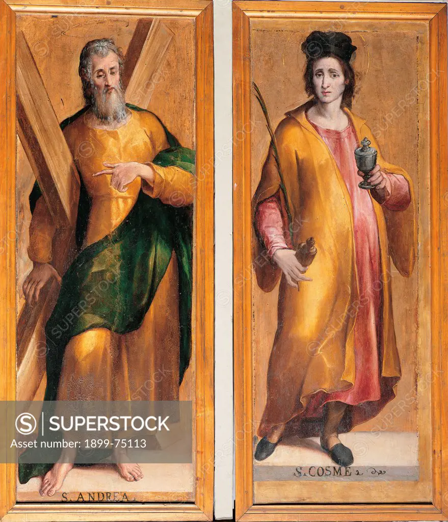 Saints Cosmas and Andrea, by Modigliani Livio, 16th Century, board,