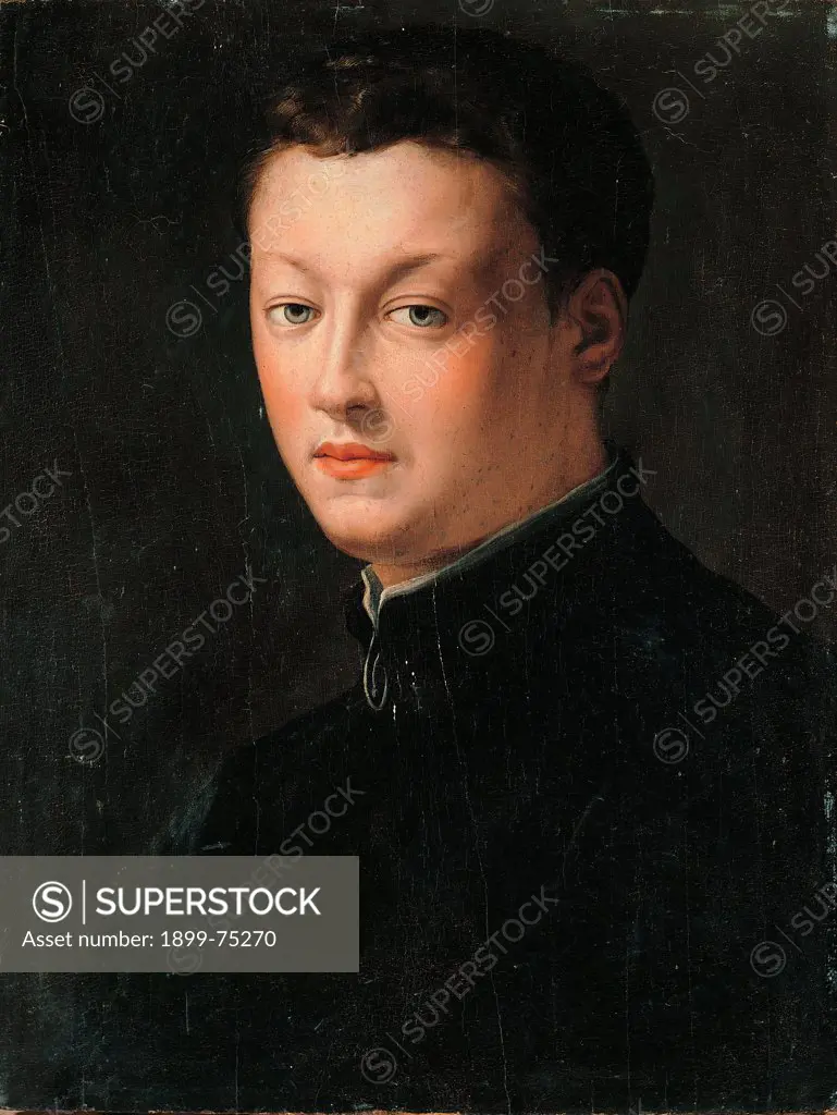 Portrait of a Young Man, by Allori Angelo (Agnolo) Bronzino, 16th Century, 1503-1572, oil on board,