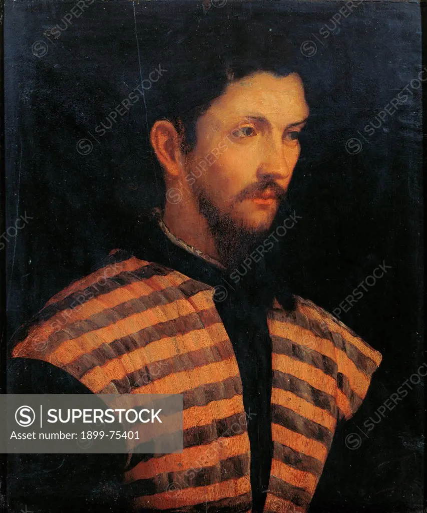 Portrait of a Gentleman with a Striped Jacket (Ritratto d'uomo col giubbetto a strisce), by Girolamo Romani known as Romanino, 1520, 16th Century, oil on panel, 48 x 42 cm