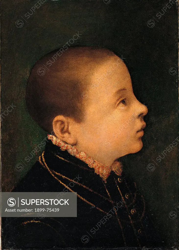 Head of a boy (Testa di fanciullo), by Venetian artist, 16th Century, oil on canvas, 44 x 32 cm