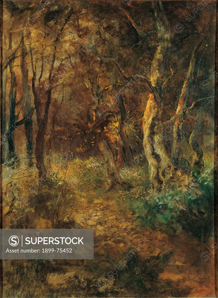 Wood (Bosco), by Mos Bianchi, 19th Century, oil on canvas, 86 x 64 cm