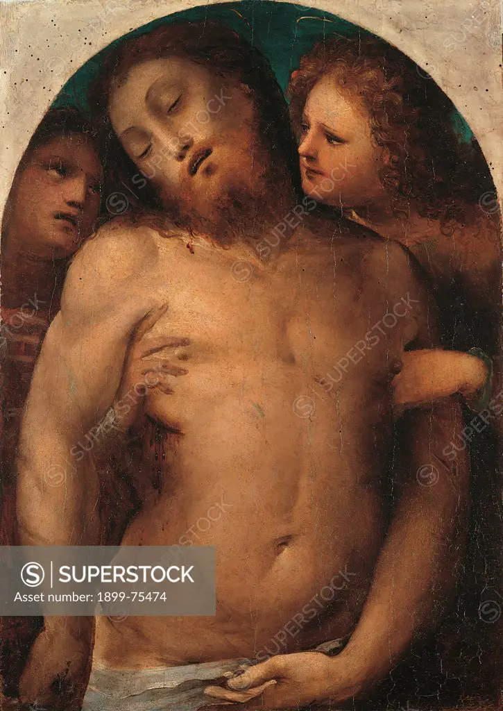 Dead Christ supported by Two Angels (Cristo Morto sorretto da due Angeli), by Domenico di Giacomo di Pace known as Domenico Beccafumi, 1538, 16th Century, oil on panel, 75 x 40 cm
