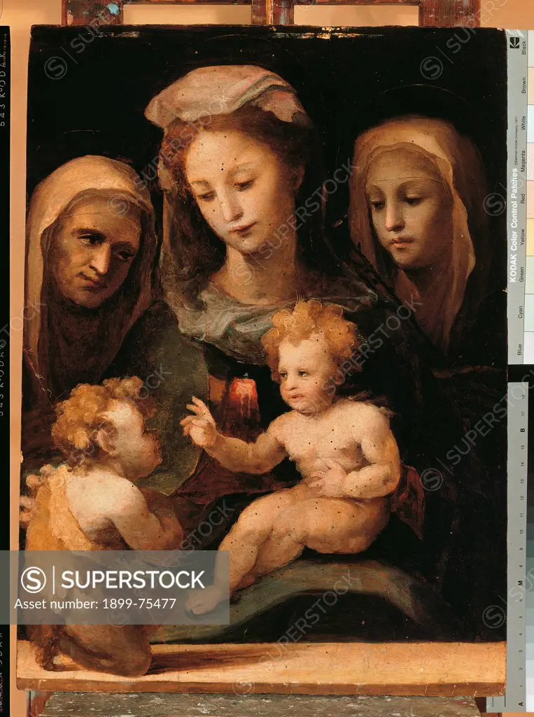 Madonna and Child with the Infant Saint John, Saint Elizabeth and Saint Catherine of Siena, by Domenico di Giacomo di Pace known as Domenico Beccafumi, 16th Century, oil on panel, 65 x 48 cm