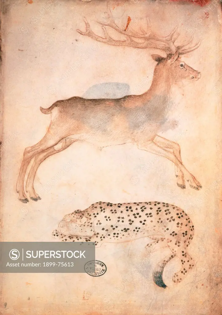 The drawings notebook: a deer and a cheetah (Taccuino dei Disegni: un cervo e un ghepardo), by Giovannino de' Grassi, 14th Century