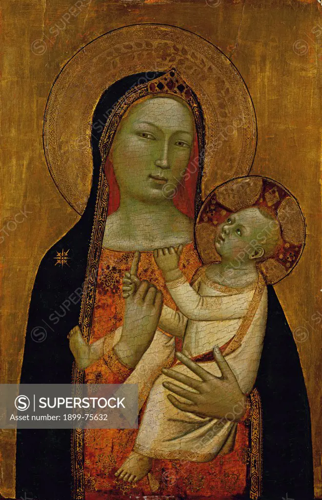 Virgin with Child (Madonna con il Bambino), Bernardo Daddi, 1327-1348, XIV secolo, dipinto su tavola di pioppo