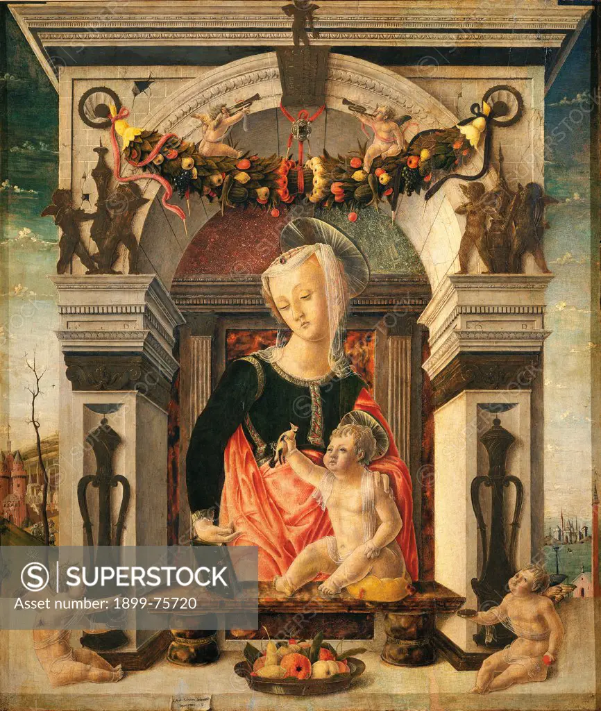 Madonna with Child, known as Goldfinch Madonna (Madonna col Bambino, detta Madonna del cardellino), by Giorgio Gregorio di Tomaso Chiulinovich known as Schiavone, 1460, 15th Century, tempera on board, 69 x 61 cm