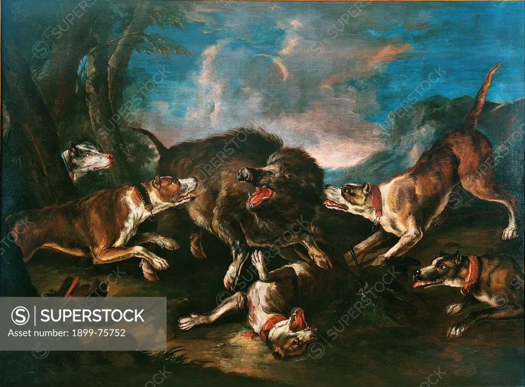 Wild boar hunt (Caccia al cinghiale), by Giovanni Crivelli known as Crivellino, 1720, 18th Century, oil on canvas