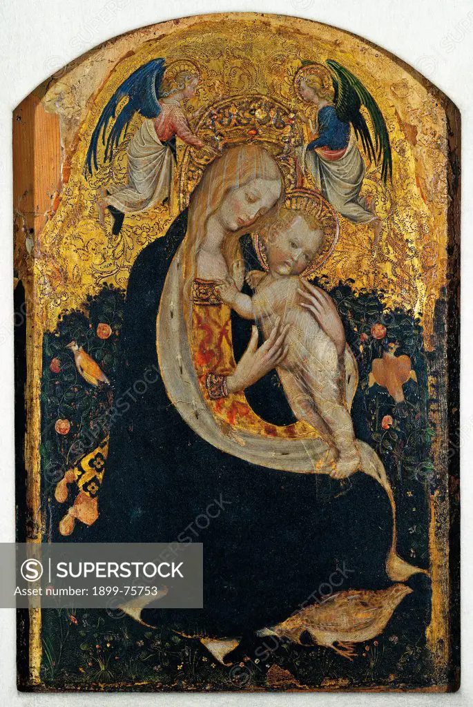 Madonna with Child crowned by two Angels (Madonna of the Quail) (Madonna con il Bambino incoronata da due angeli (Madonna della quaglia)), by Antonio Pisano known as Pisanello, 1420, 15th Century, tempera on board, 67 x 44 cm