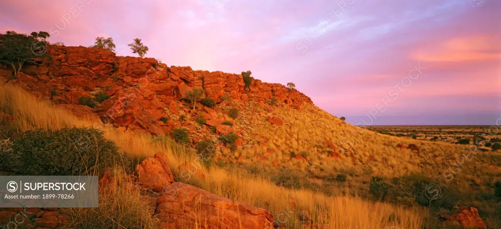 Landscape near Trainor Hills at sunset, Canning Stock Route, Little Sandy Desert, Western Australia