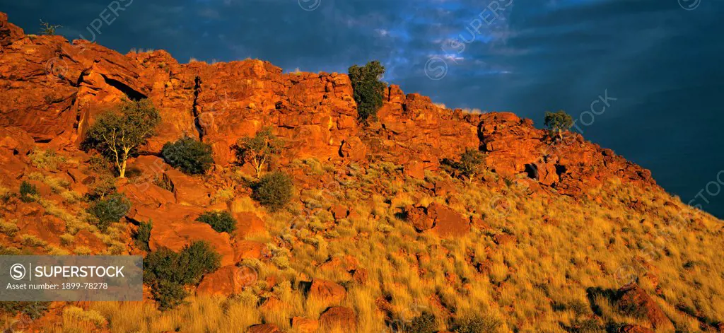 Stone country around Trainor Hills Canning Stock Route, Little Sandy Desert, Western Australia