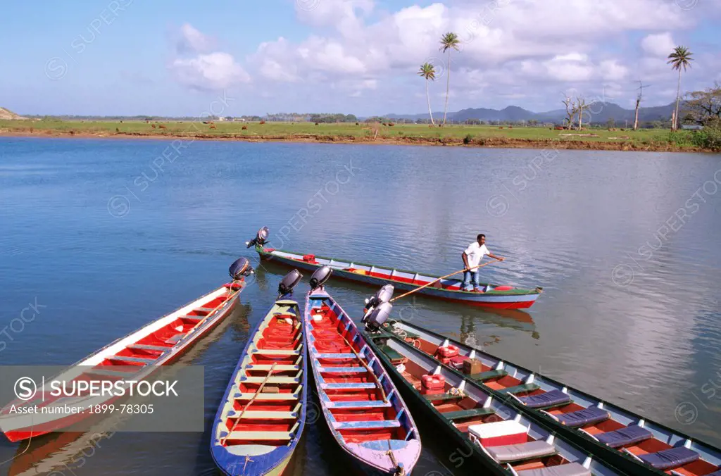 Traditional river boats, Nava River near Suva, Fiji