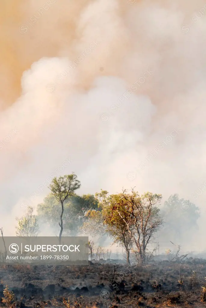 A bushfire, Kimberley region,Western Australia