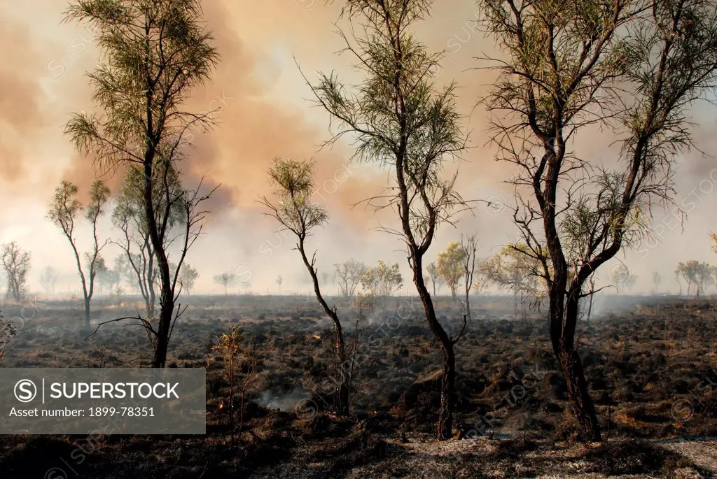A bushfire, Kimberley region Kimberley region, Western Australia