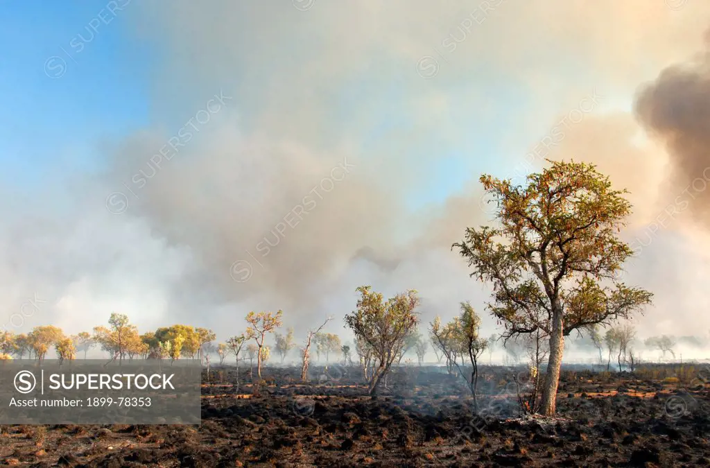 A bushfire, Kimberley region Western Australia