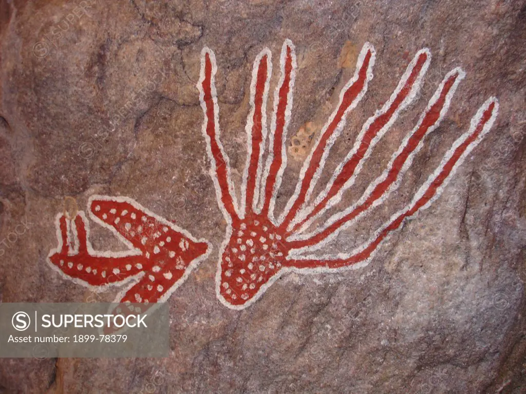 Aboriginal rock art depicting a jellyfish and a moth Bathurst Head, Queensland, Australia