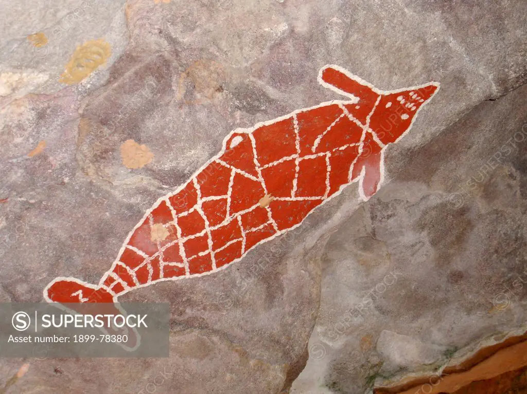 Aboriginal rock art depicting a Dugong Bathurst Head, Queensland, Australia