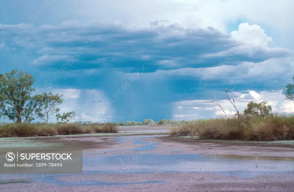 Rainstorm over swamp of Lignum that supports water birds, Narran Lake, northwest New South Wales, Australia