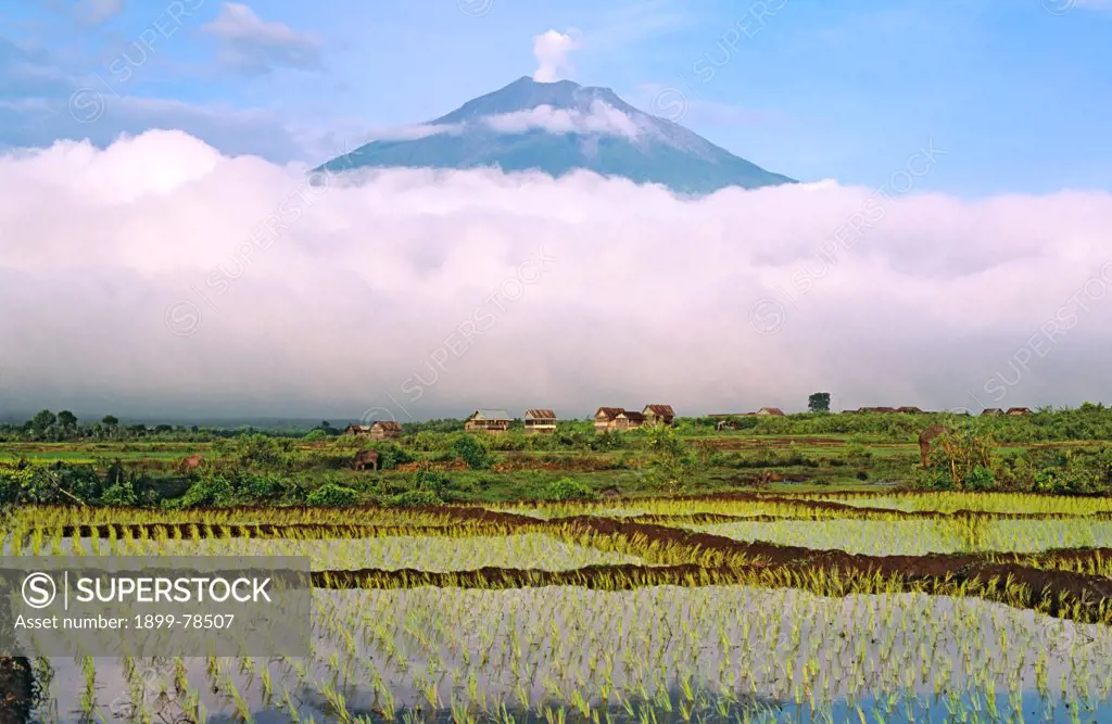 Gunung Kerinci an active volcano which dominates the Kerinci enclave in the Kerinci-Sablat National Park Kerinci Seblat National Park, Sumatra, Indonesia