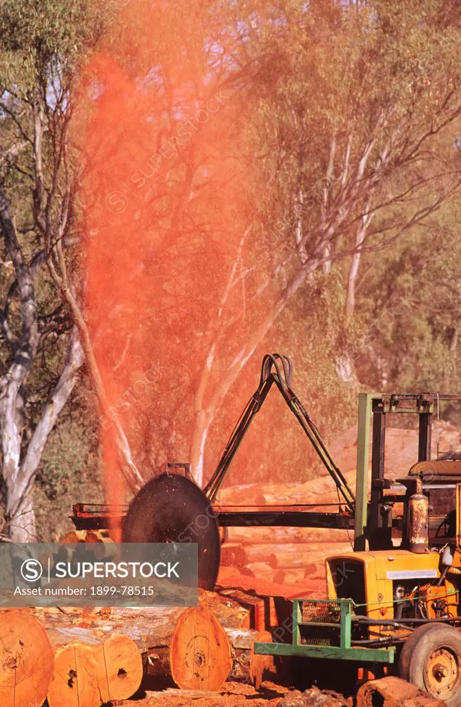 River red gum logs being cut into smaller logs, Narrandera, New South Wales, Australia