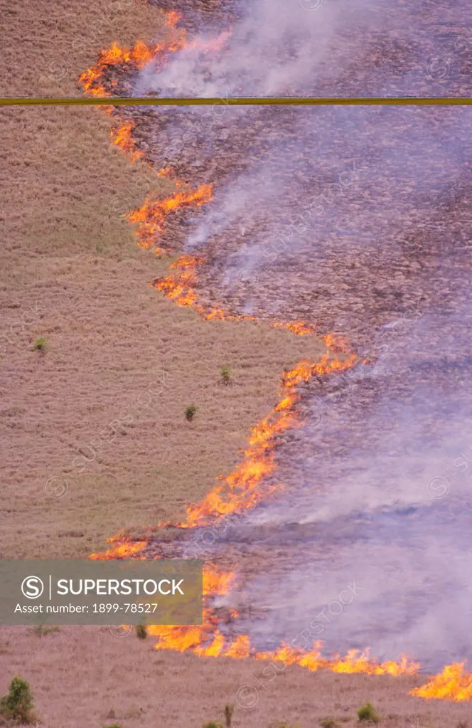 Burning subtropical pasture near Biloela, Queensland, Australia