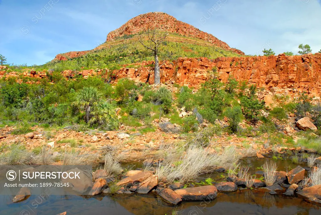 Sir John Bluff part of the rugged cliff line and scree slope of ancient sedimentary rock, Mornington Wildlife Sanctuary, central Kimberley, Western Australia