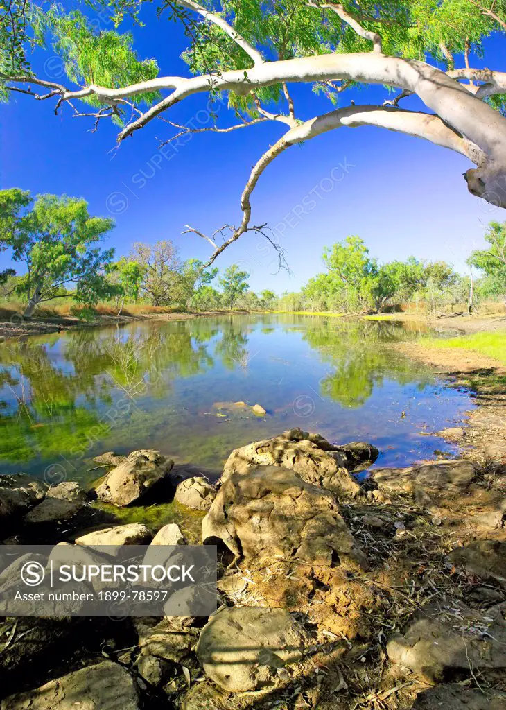 Billabong in floodplain of Limmen Bight River, Broadmere Station, western Gulf of Carpentaria, Northern Territory, Australia