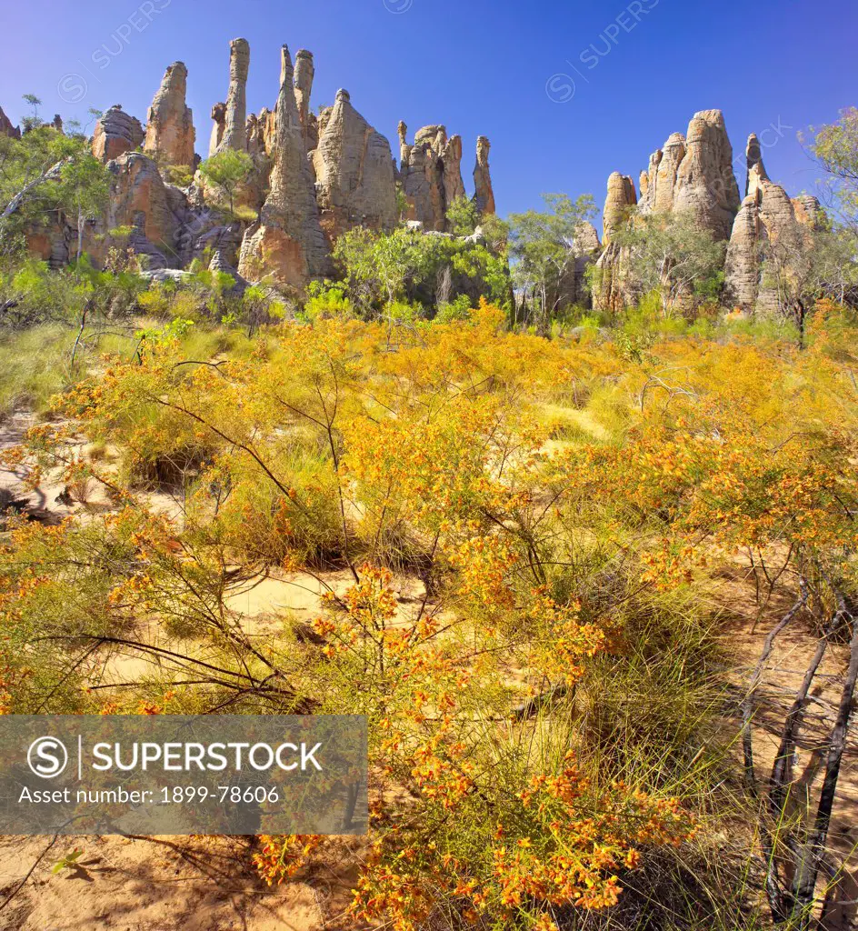 Lost City escarpment with pillars of sandstone and native pea blossoms in foreground, Broadmere Station, western Gulf of Carpentaria, Northern Territory, Australia