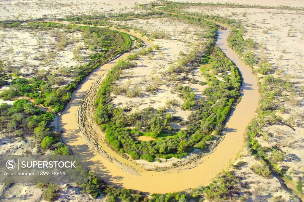 Tight meander of Warburton Creek swollen with floodwater on its way to Lake Eyre, with Desert coolibah riparian woodland, Kalamurina Station Wildlife Sanctuary, Lake Eyre Basin, northeast South Australia