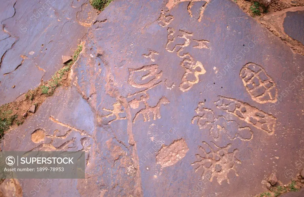 Neolithic engravings created by hunter-gatherers following herds that sought feeding grounds in the mountains, Yagour Plateau, Tadla-Azilal, High Atlas Mountains, Morocco