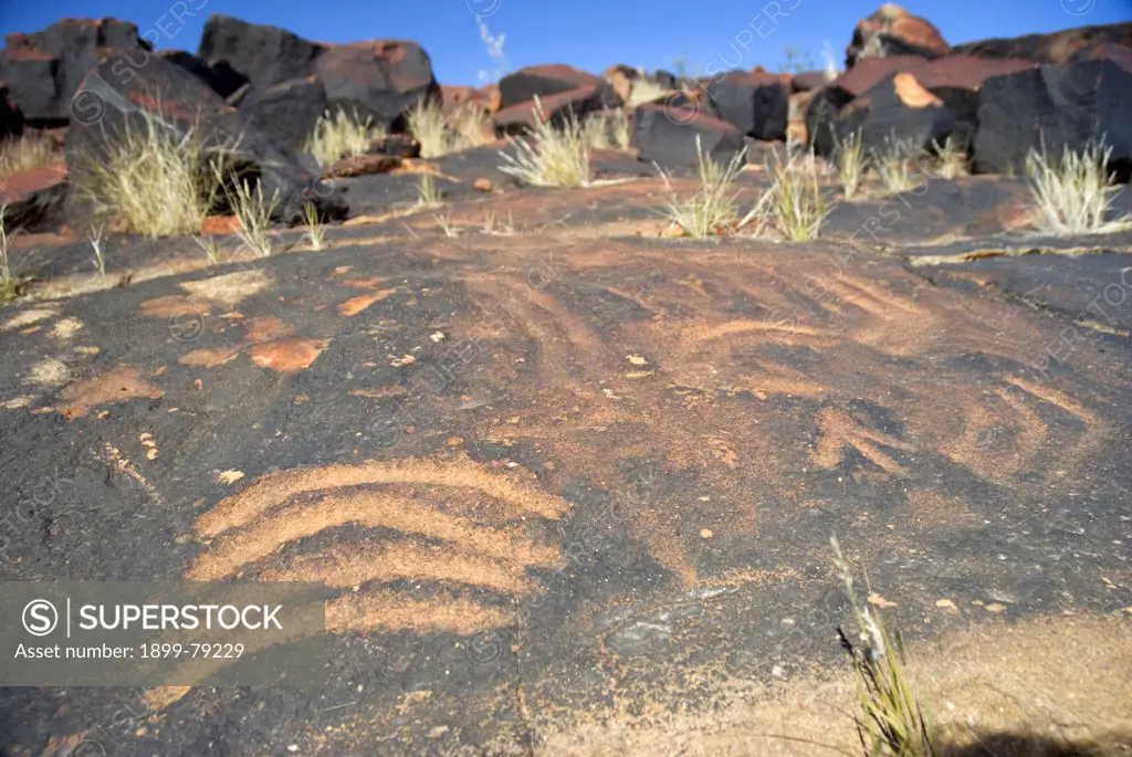 Aboriginal petroglyphs Callamurra Waterhole, Innamincka Regional Reserve, South Australia