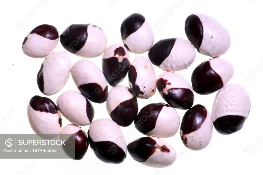Beans monachella blacks and whites.