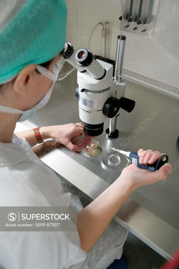 In vitro fertilization, Reproductive biology laboratory