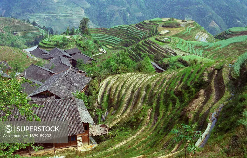 A Zhuang minority village of traditional wooden houses surrounded by farming terraces, Ping-An, Guangxi Province, China, April 2004.