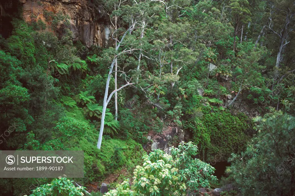 Bushwalker, Isla Gorge National Park, Central Queensland, Australia. 01/11/2001
