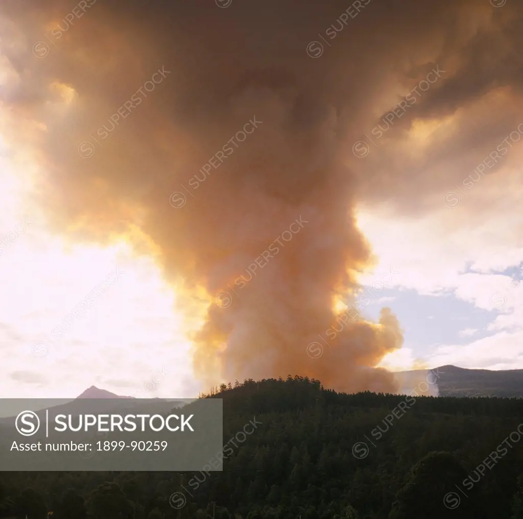 Forestry regeneration burn near Maydena, Derwent Valley, Tasmania, Australia. 01/11/2002