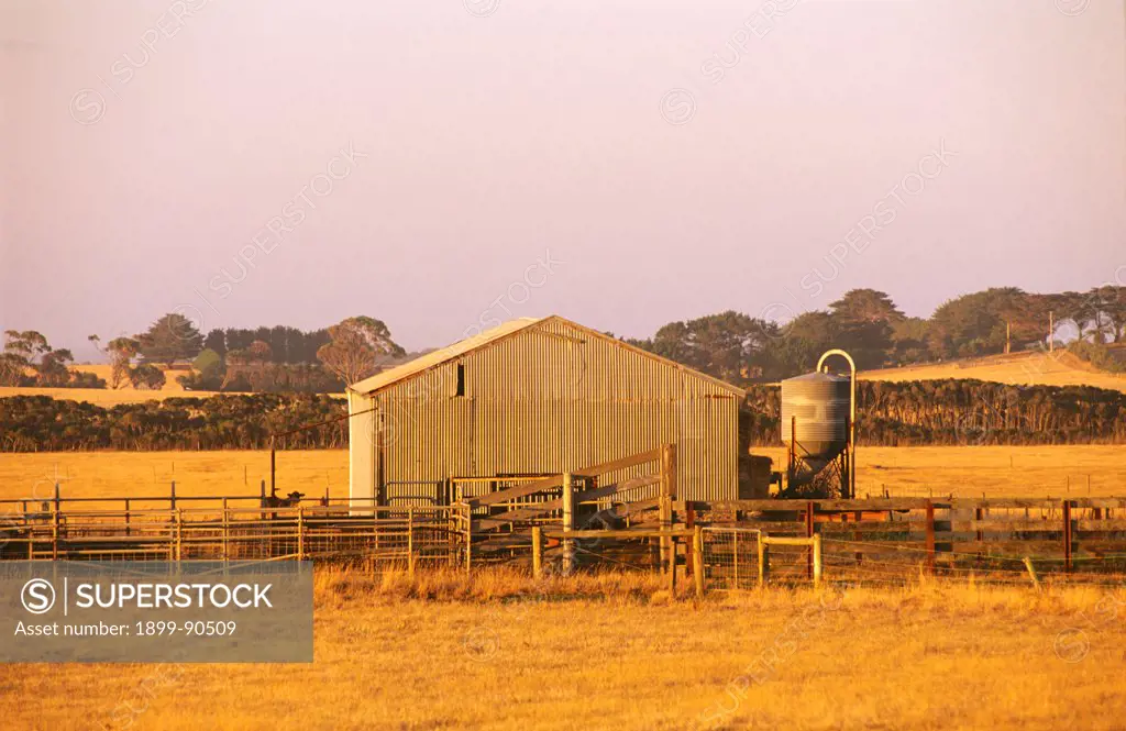 Farm shed, Phillip Island, Victoria, Australia. 01/11/2002