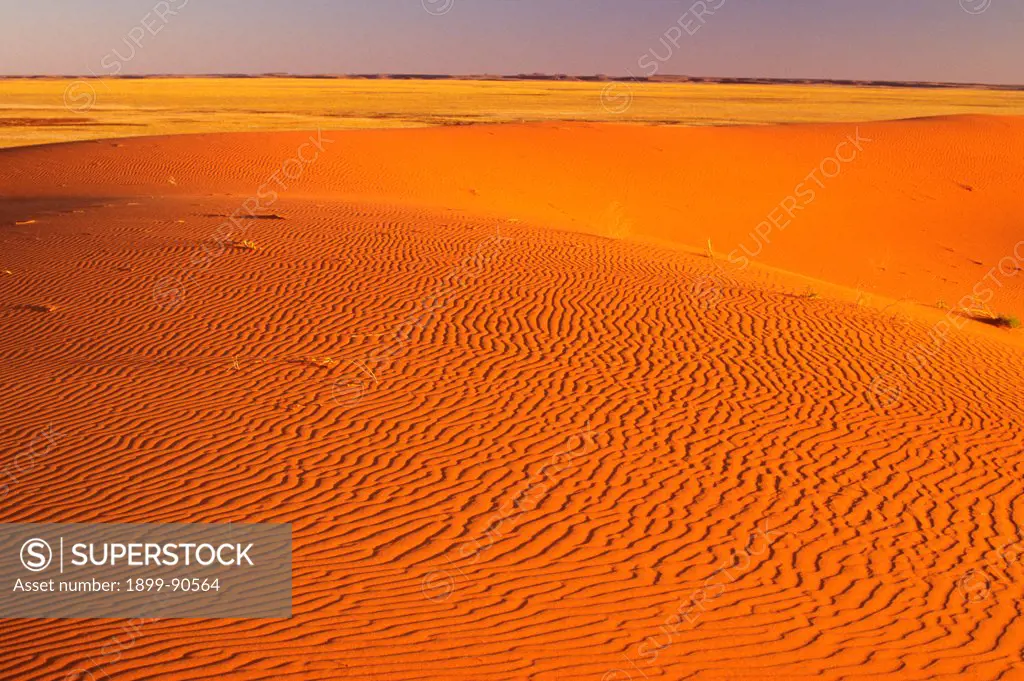 Sand dunes, near Innamincka, Strzelecki Desert, South Australia, Australia. 01/11/2000