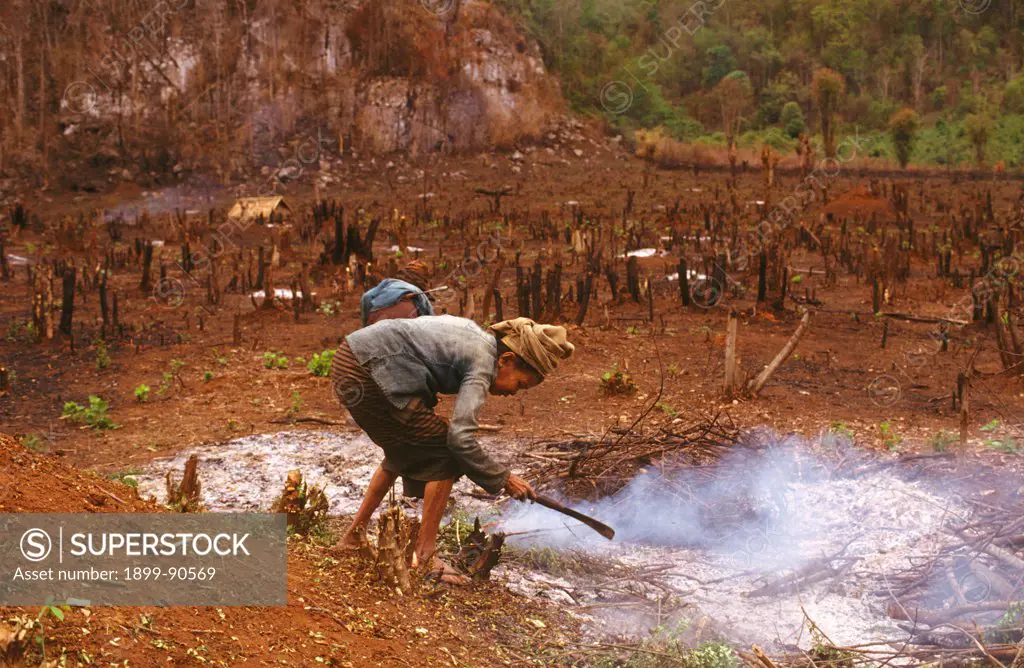 Slash and burn near Sayabouri, Laos. 01/11/2002