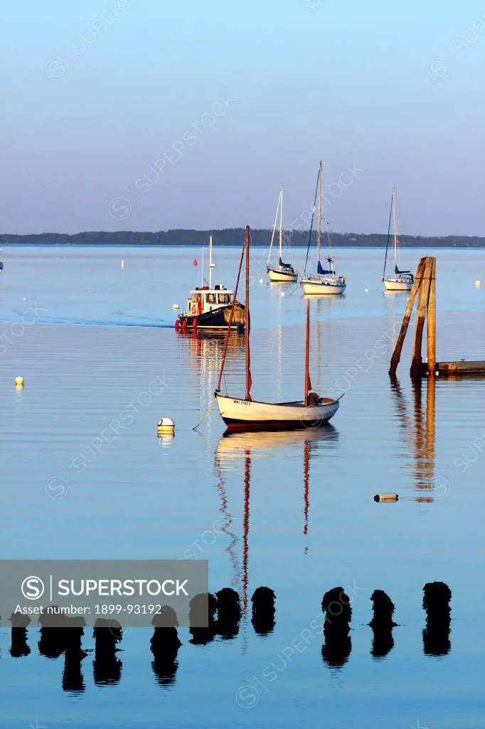 Maine Coast New England USA Belfast Harbor cruising boats at mooring dock at sunset.